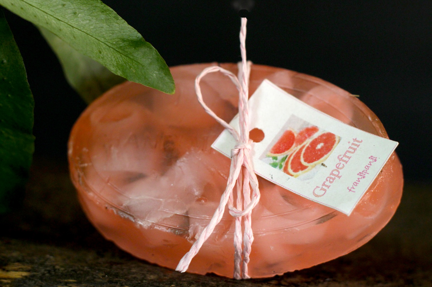 Grapefruit - Image 2