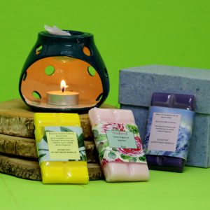 Pottery Burner Kit