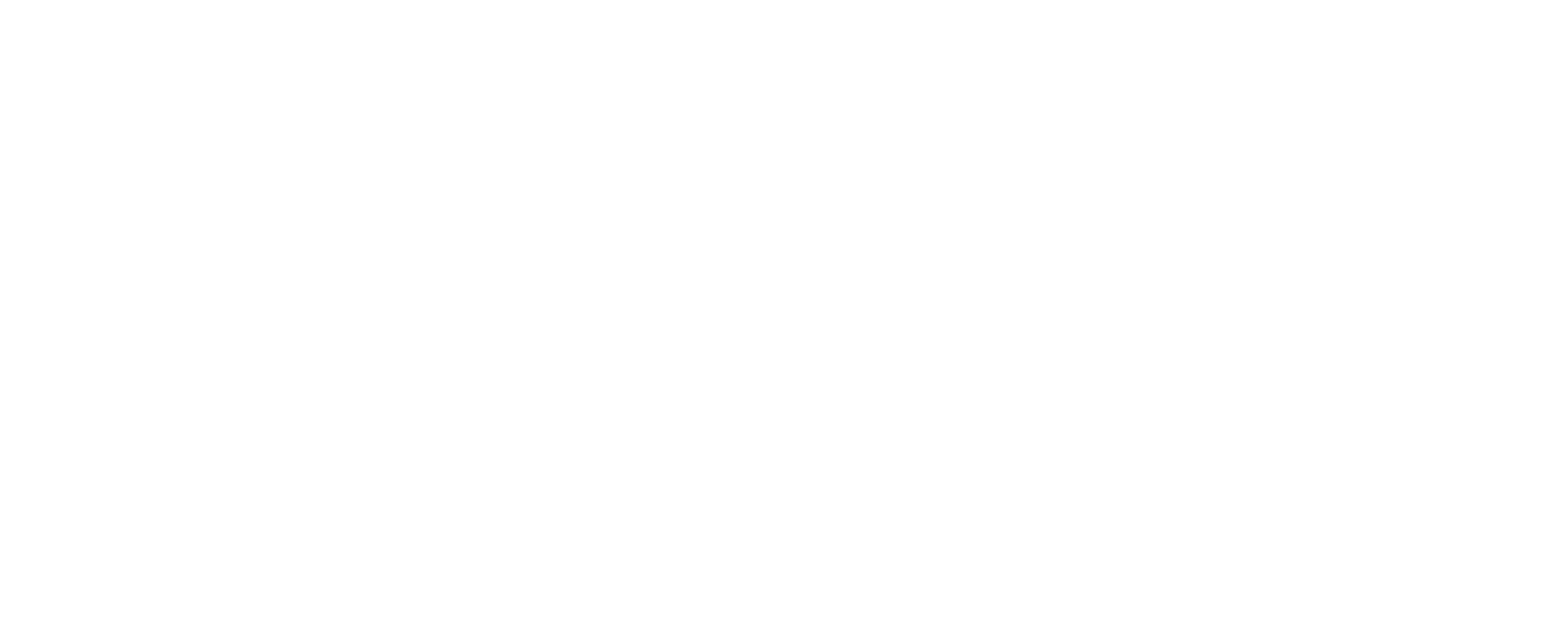 Minority Business Review